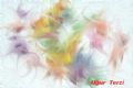 026 buzda dans